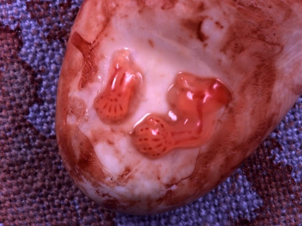 07_weeks-0110_medium
