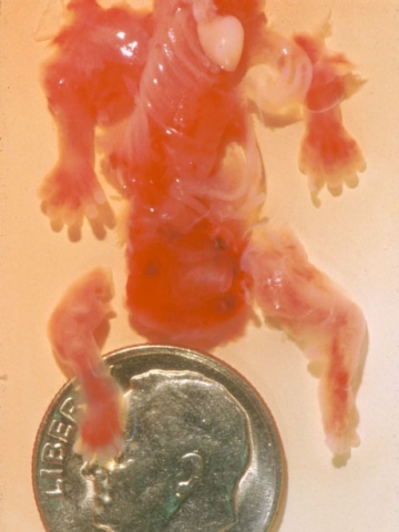 07_weeks-031_medium