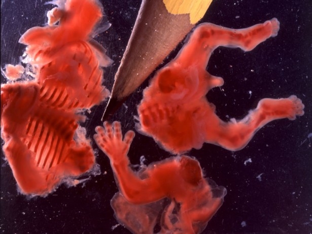 08_weeks-03_medium