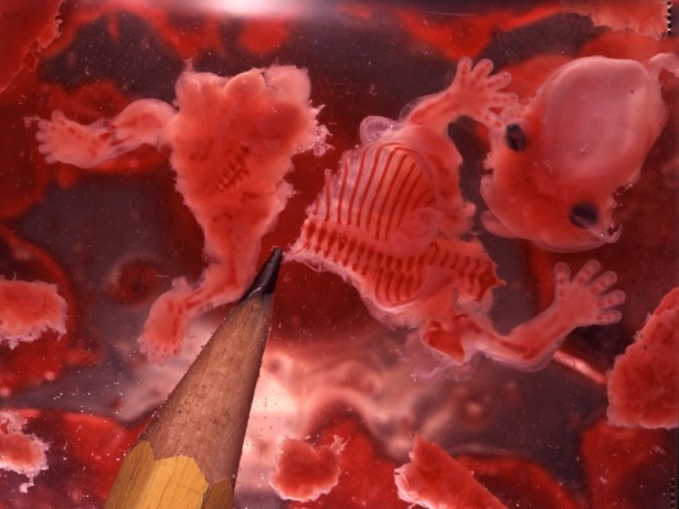 08_weeks-08_medium